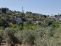 תמונה ממוזערת לגרסה מתאריך 06:29, 6 ביוני 2025