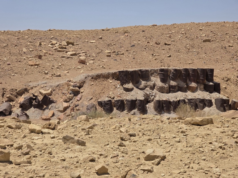 קובץ:2025-06-06T13 32 30.239521940115.jpg