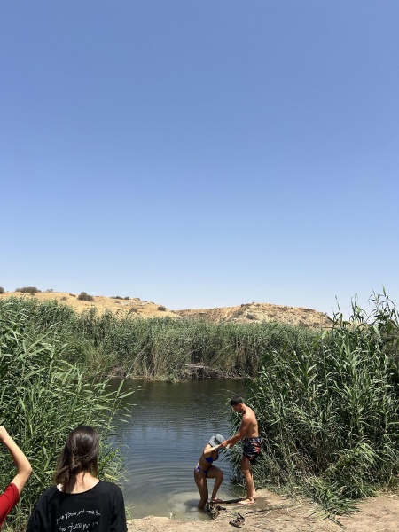 קובץ:2025-06-06T16 02 28.957301750231.jpg