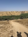 תמונה ממוזערת לגרסה מתאריך 12:42, 6 ביוני 2025