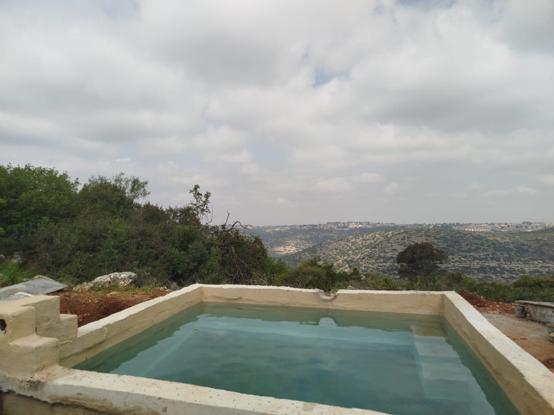 קובץ:2025-06-06T18 58 48.212222637512.jpg