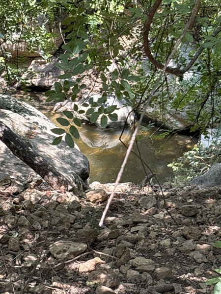קובץ:2025-06-07T11 06 32.775273724553.jpg