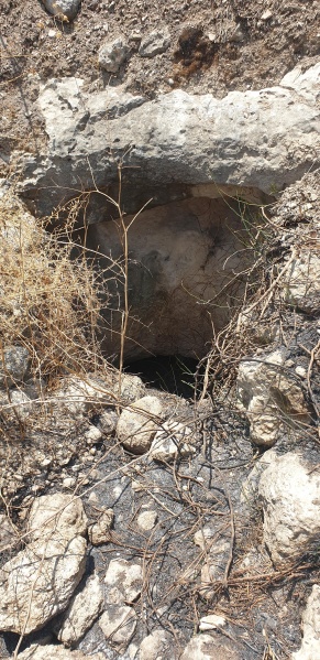 קובץ:2025-06-07T12 32 42.195378646828.jpg