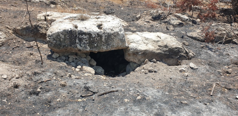קובץ:2025-06-07T13 05 41.467717995593.jpg