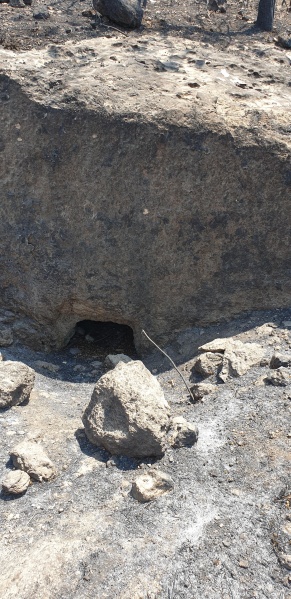קובץ:2025-06-07T14 13 23.429213648252.jpg