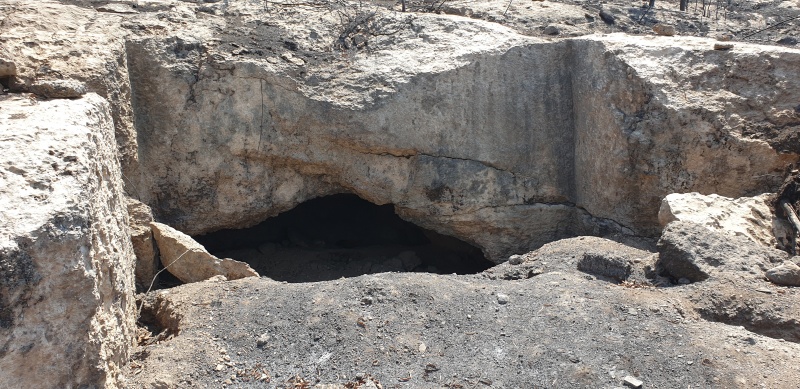 קובץ:2025-06-07T14 26 14.505351459889.jpg