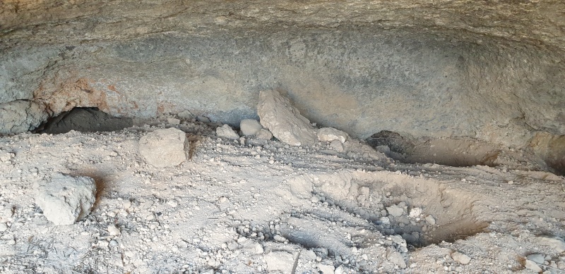 קובץ:2025-06-07T14 26 22.226831742353.jpg