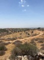 תמונה ממוזערת לגרסה מתאריך 06:00, 8 ביוני 2025