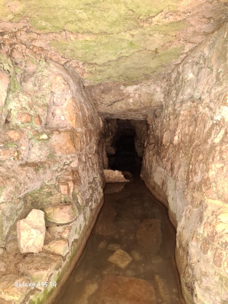 קובץ:2025-06-08T14 48 37.954208916798.jpg