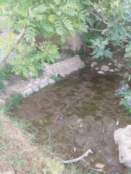 קובץ:2025-06-08T18 32 31.64171795103.jpg
