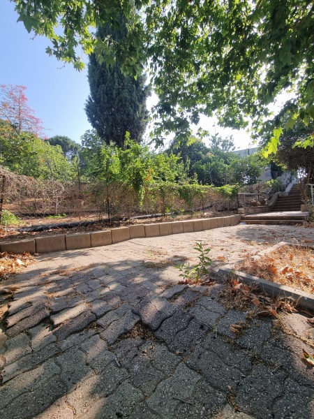 קובץ:2025-06-09T08 33 56.26141756613.jpg