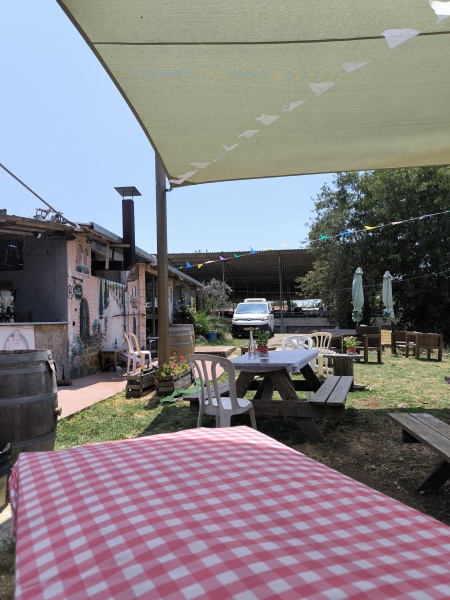 קובץ:2025-06-09T13 43 49.33987356499.jpg