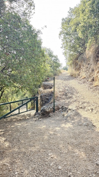 קובץ:2025-06-09T17 20 53.897221646836.jpg
