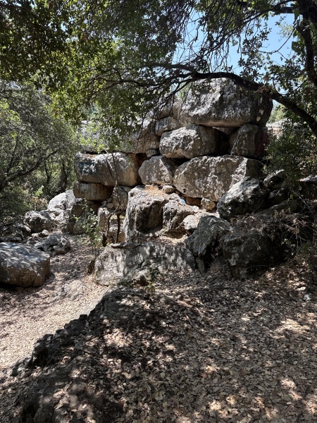 קובץ:2025-06-10T11 16 20.802430795183.jpg