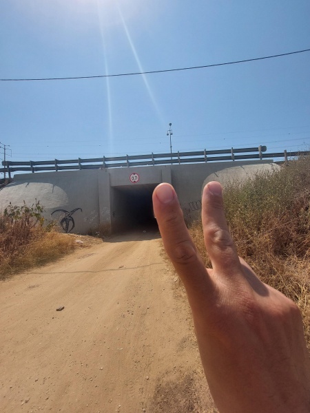 קובץ:2025-06-10T14 25 04.96597775114.jpg