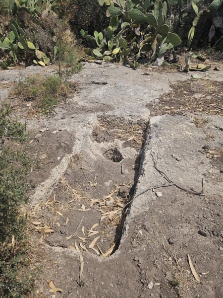 קובץ:2025-06-10T14 33 32.753053390472.jpg