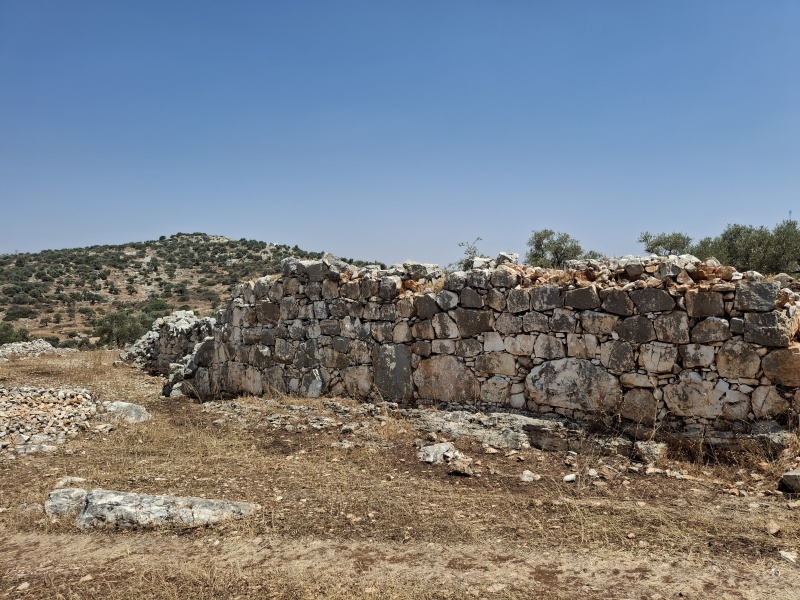 קובץ:2025-06-10T16 40 22.383763192044.jpg