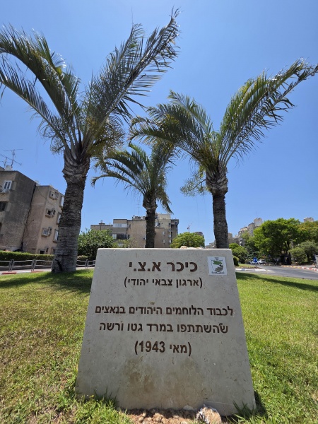 קובץ:2025-06-12T12 32 26.546144194633.jpg