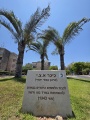 תמונה ממוזערת לגרסה מתאריך 09:11, 12 ביוני 2025