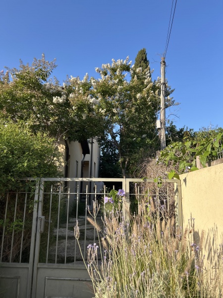 קובץ:2025-06-12T18 22 48.08305679292.jpg