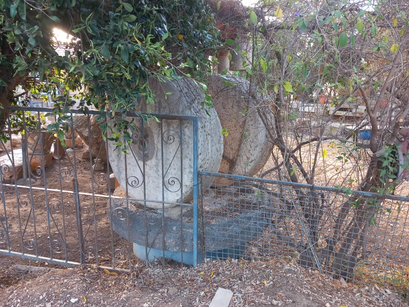 קובץ:2025-06-14T06 28 59.060151153788.jpg