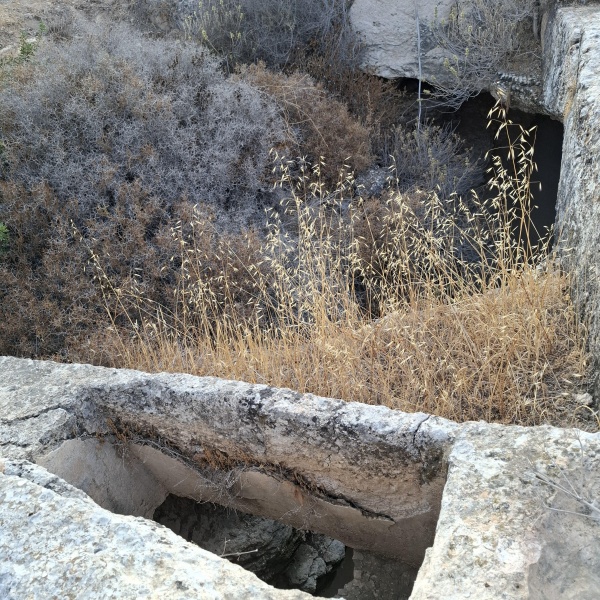 קובץ:2025-06-14T07 13 20.968880473670.jpg