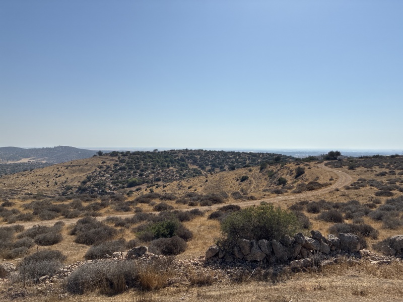קובץ:2025-06-14T16 24 06.89602270081.jpg