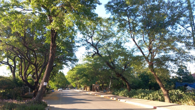 קובץ:2025-06-14T18 56 18.702431202640.jpg