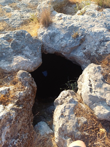 קובץ:2025-06-15T19 03 06.149165929059.jpg