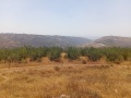 תמונה ממוזערת לגרסה מתאריך 12:59, 16 ביוני 2025
