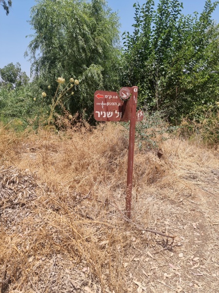 קובץ:2025-06-17T12 54 27.973182610922.jpg