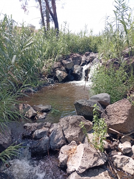 קובץ:2025-06-17T13 42 46.260164182327.jpg
