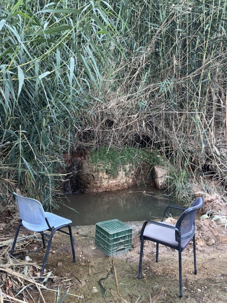 קובץ:2025-06-19T18 28 32.971199343327.jpg