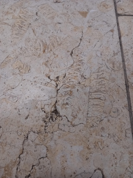 קובץ:2025-06-19T20 18 04.569131861461.jpg