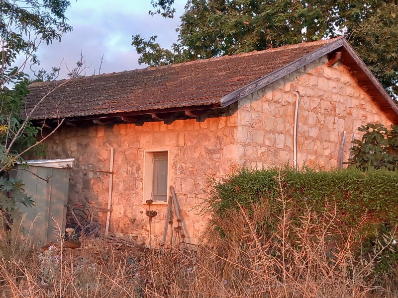 קובץ:2025-06-20T05 48 42.542590914590.jpg