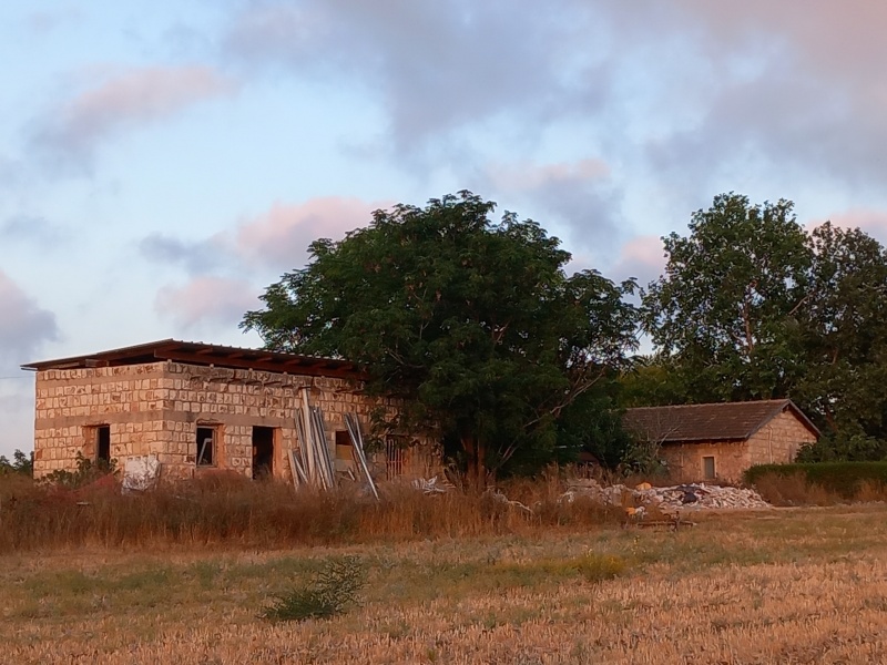 קובץ:2025-06-20T05 54 20.311579550365.jpg
