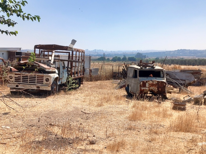 קובץ:2025-06-21T10 04 45.490771432257.jpg