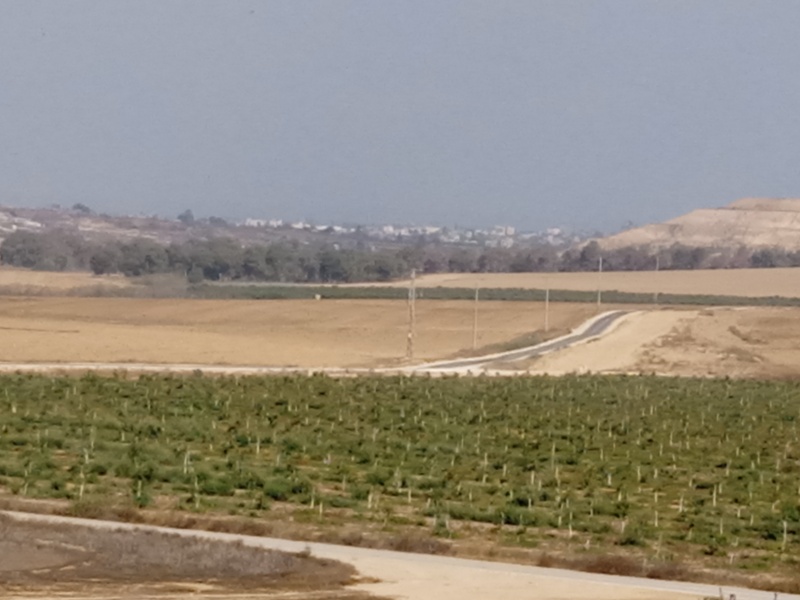 קובץ:2025-06-22T09 10 58.170885107575.jpg