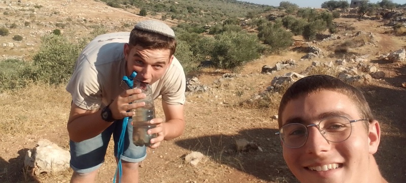 קובץ:2025-06-22T17 03 57.234871717595.jpg
