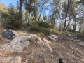 תמונה ממוזערת לגרסה מתאריך 15:21, 23 ביוני 2025
