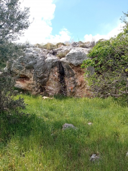 קובץ:2025-06-23T23 28 39.98633516199.jpg