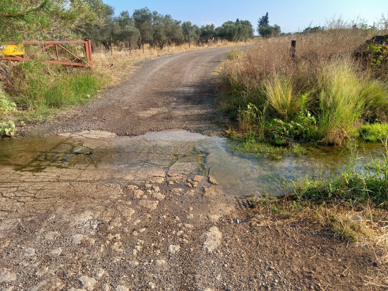 קובץ:2025-06-24T07 44 16.666311289285.jpg