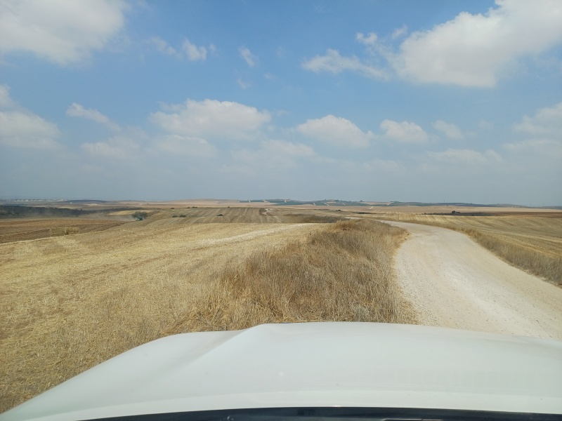 קובץ:2025-06-24T10 46 42.377088877987.jpg
