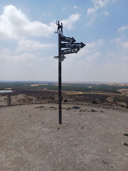 קובץ:2025-06-24T11 19 11.445531732870.jpg