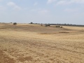 תמונה ממוזערת לגרסה מתאריך 14:47, 24 ביוני 2025