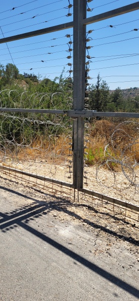 קובץ:2025-06-25T10 39 44.364811323916.jpg