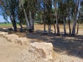 תמונה ממוזערת לגרסה מתאריך 08:29, 25 ביוני 2025