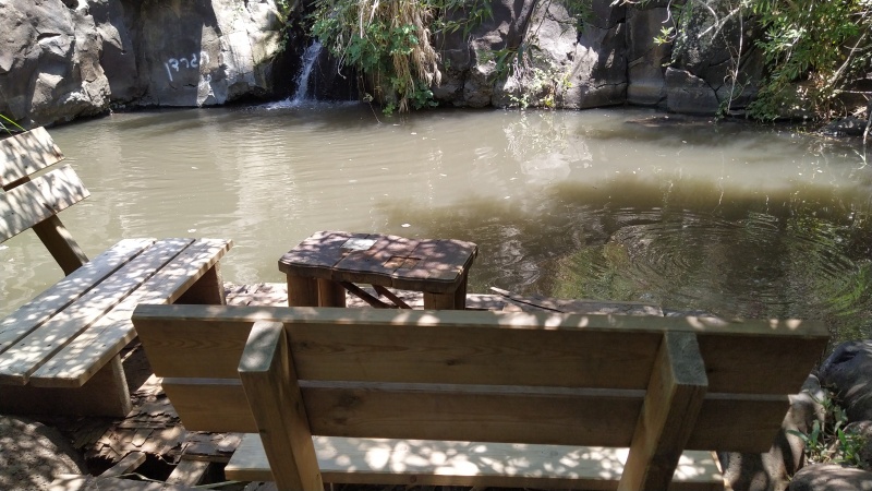 קובץ:2025-06-25T17 59 40.338397478929.jpg