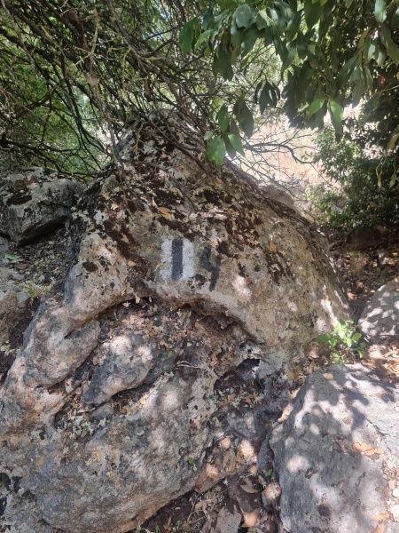 קובץ:2025-06-26T10 56 30.319368946781.jpg