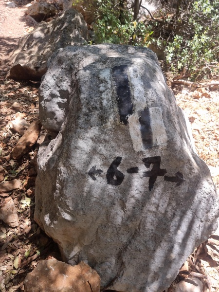 קובץ:2025-06-26T11 24 31.705439714271.jpg